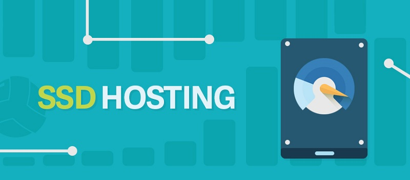 SSD Hosting: Why I Need it for My Business?